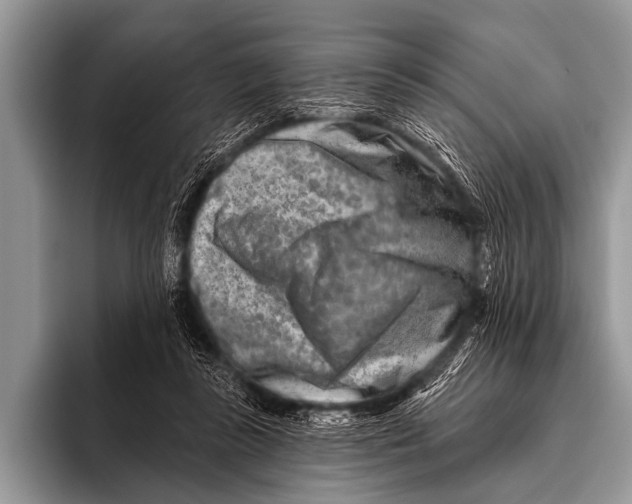 X0000096190355200802081524