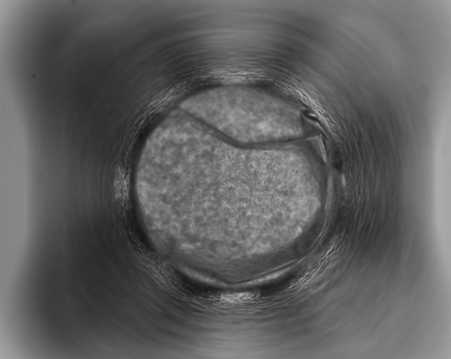 X0000096190357200802081524