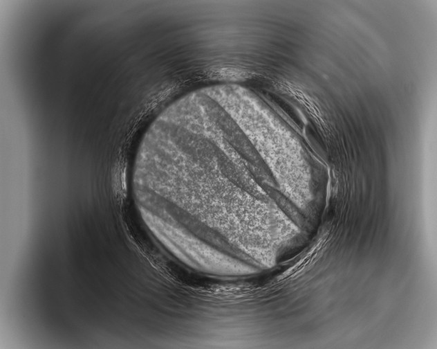 X0000096190358200802081524