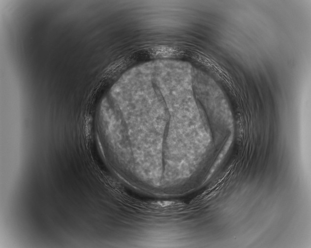 X0000096190361200802081525