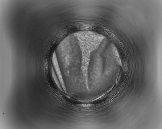 X0000096190363200802081525