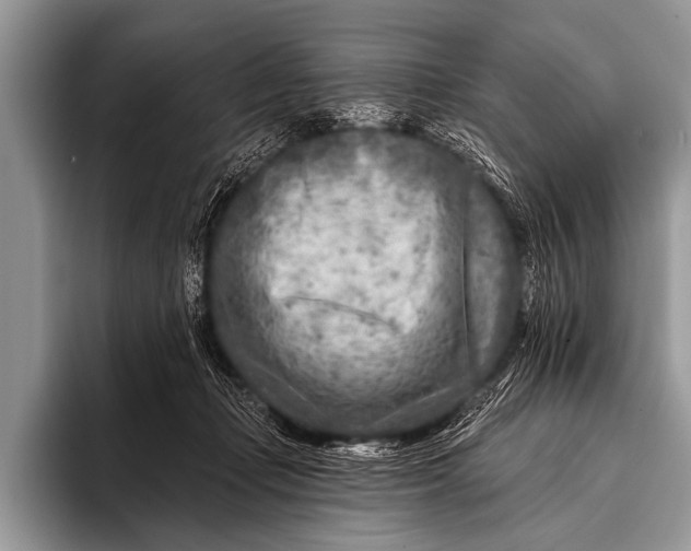 X0000096190365200802081525