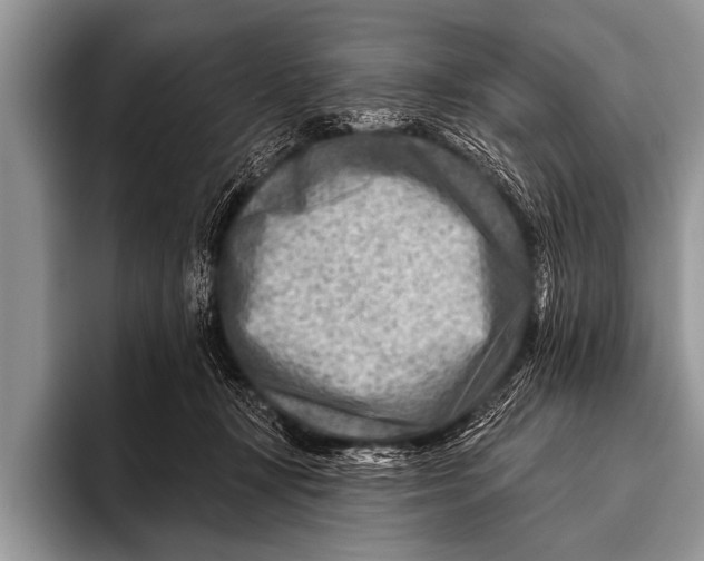 X0000096190367200802081525