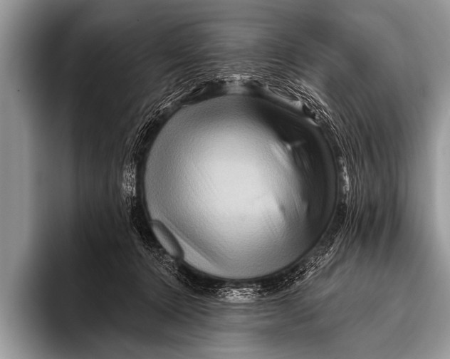 X0000096190368200802081525