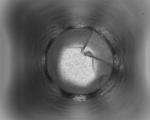 X0000096190369200802081525