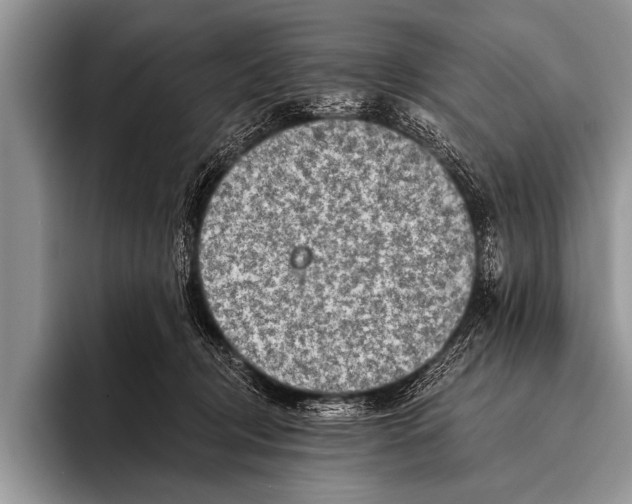 X0000096190370200802081525