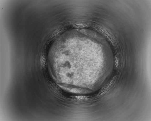 X0000096190371200802081525