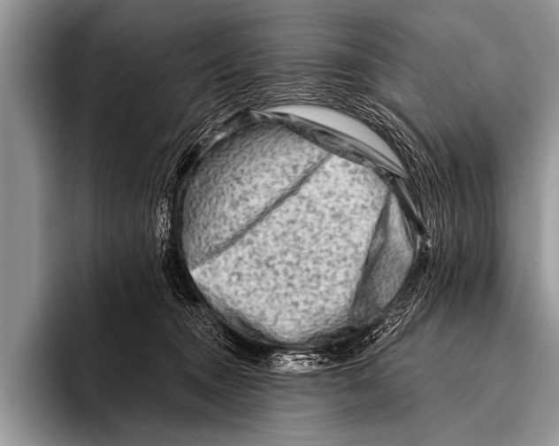 X0000096190372200802081525