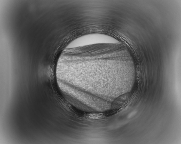 X0000096190373200802081525