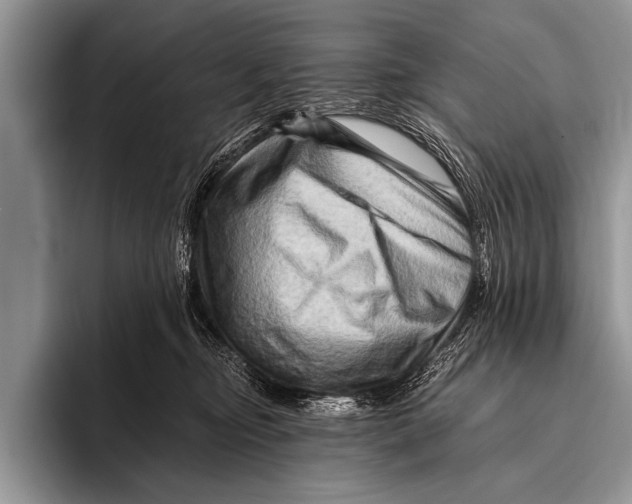 X0000096190374200802081525