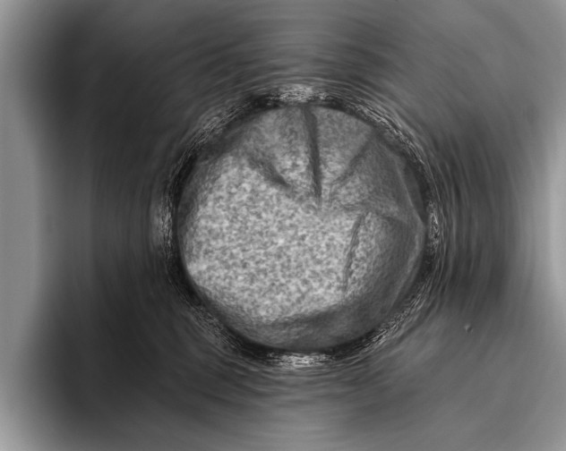 X0000096190375200802081525