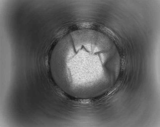 X0000096190377200802081525