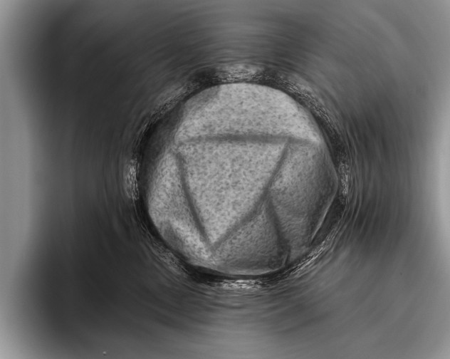 X0000096190378200802081525