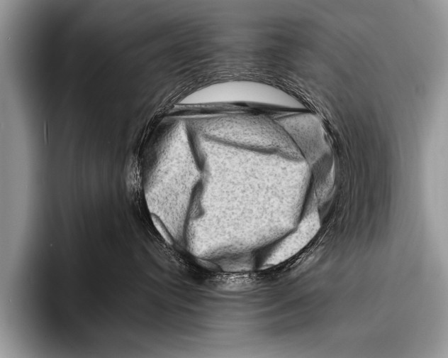 X0000096190384200802081525