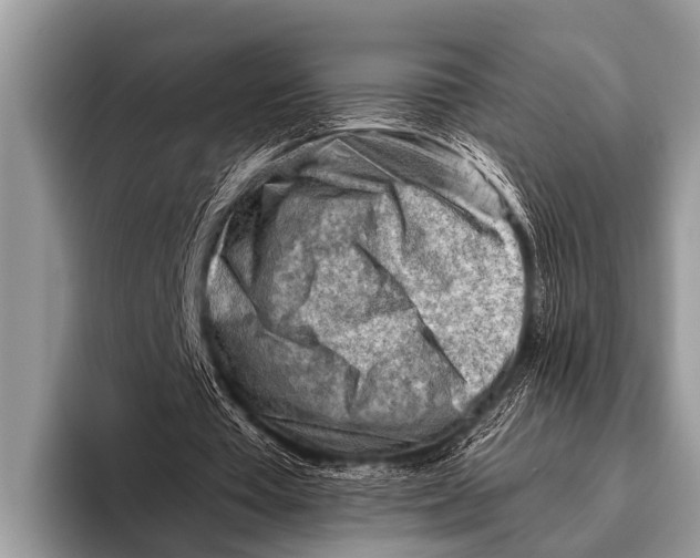 X0000096190385200802081524