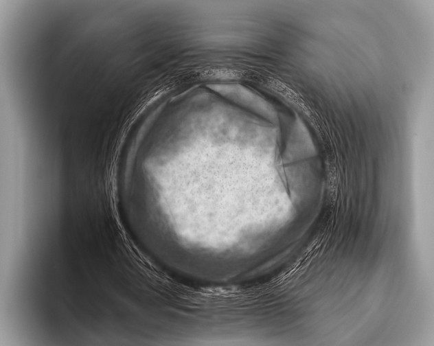 X0000096190386200802081524