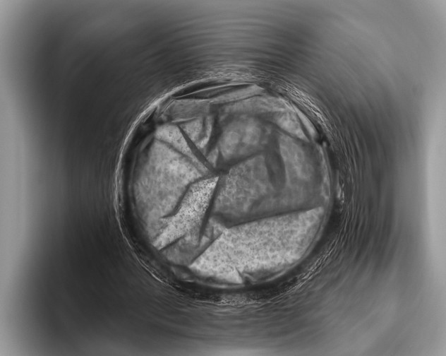 X0000096190388200802081524