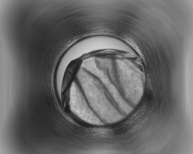 X0000096190389200802081524