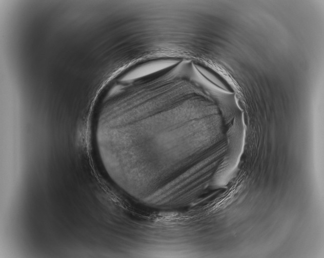 X0000096190391200802081524