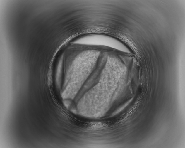 X0000096190392200802081524