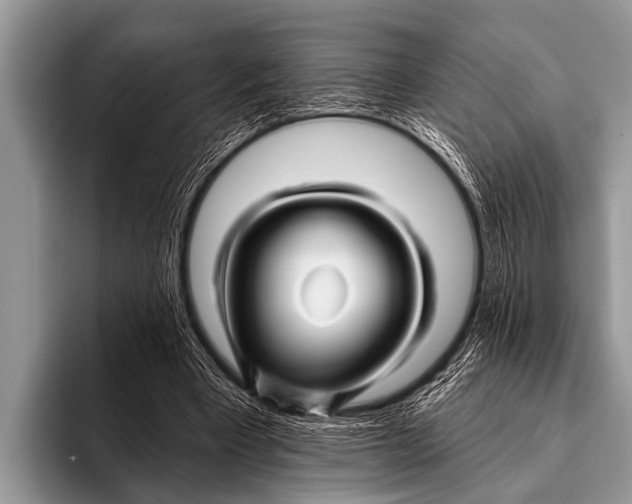 X0000096190393200802081524