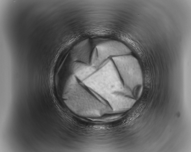 X0000096190394200802081524