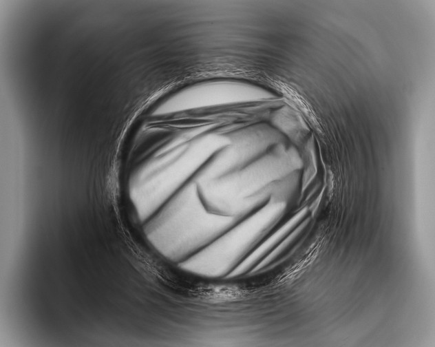 X0000096190395200802081524