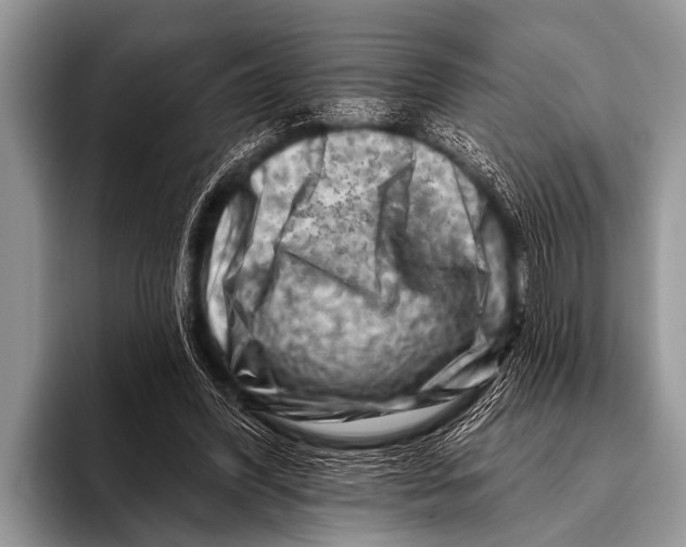 X0000096190396200802081524