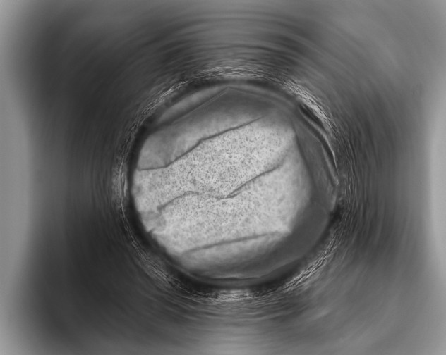 X0000096190398200802081524