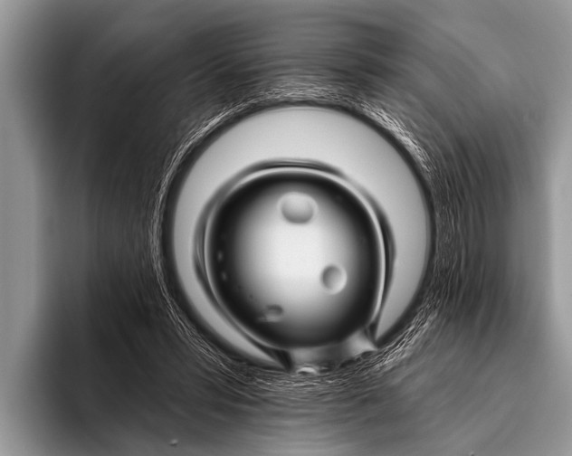 X0000096190399200802081524