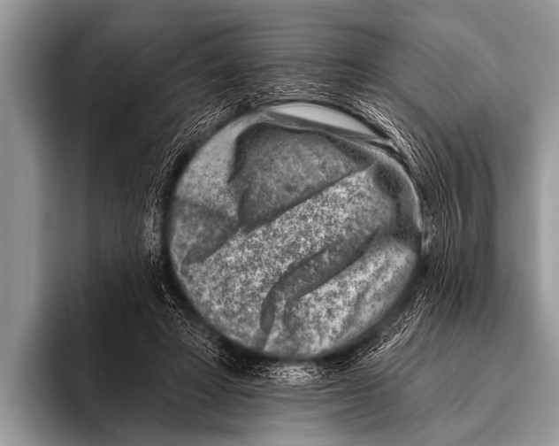 X0000096190402200802081524