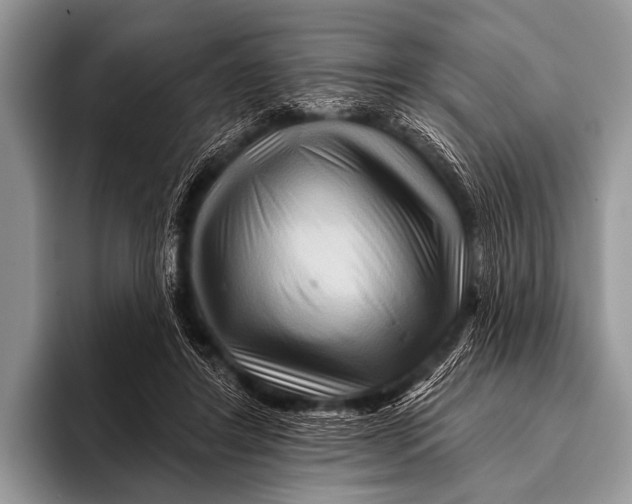 X0000096190404200802081524