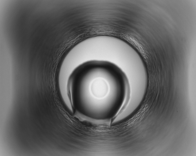 X0000096190405200802081524