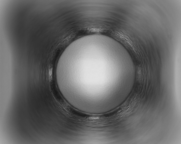 X0000096190406200802081524