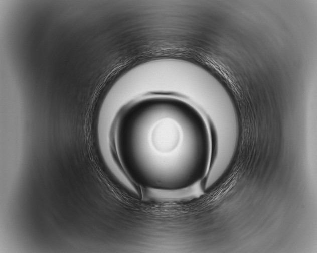 X0000096190407200802081524