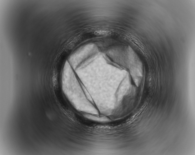 X0000096190408200802081524