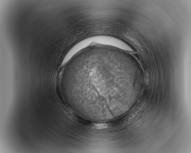 X0000096190409200802081524