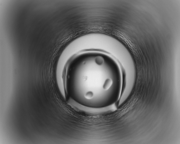 X0000096190411200802081524