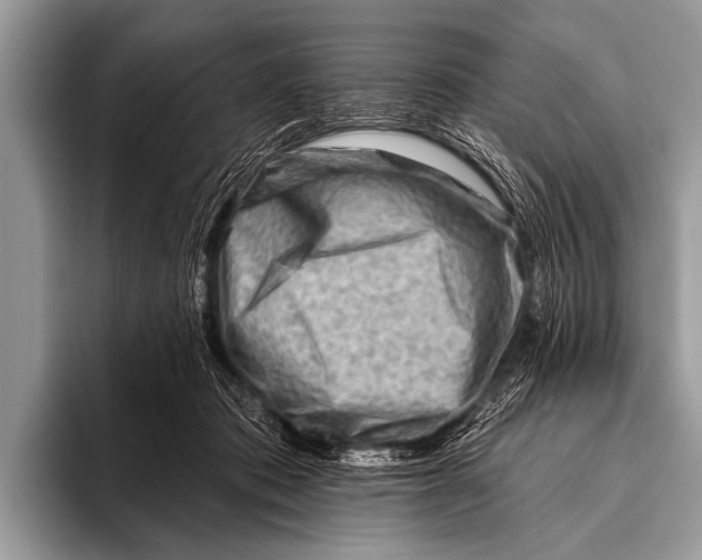 X0000096190413200802081524