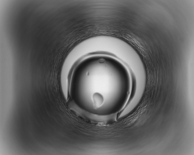 X0000096190415200802081524