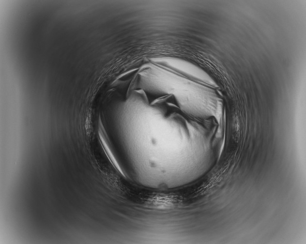 X0000096190416200802081524