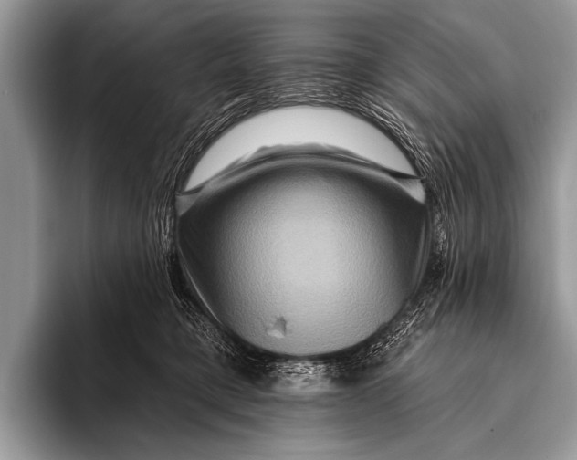 X0000096190421200802081524