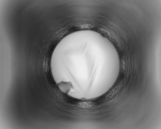 X0000096190422200802081524