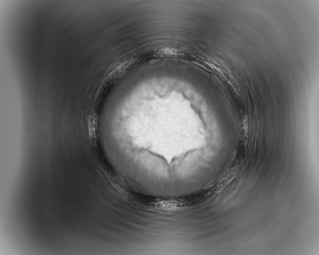 X0000096190423200802081524