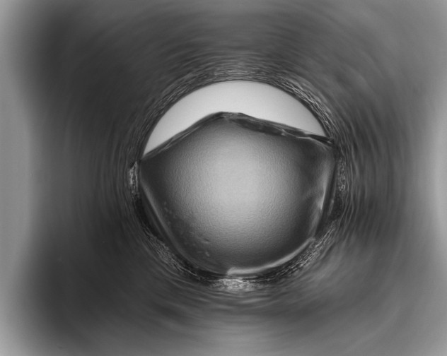 X0000096190425200802081524