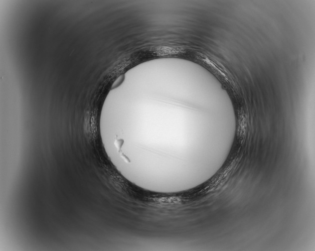 X0000096190426200802081524