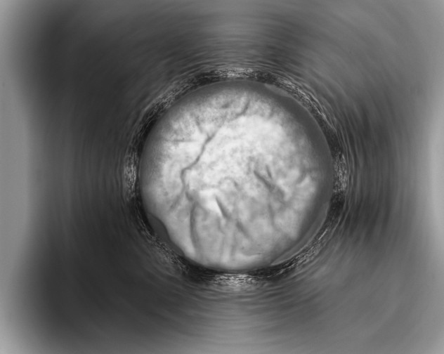 X0000096190427200802081524