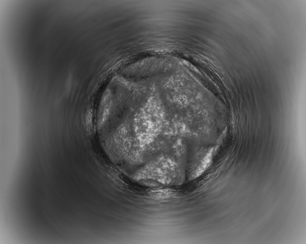 X0000096190428200802081524