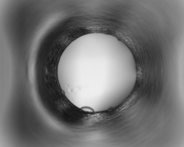 X0000096190430200802081524