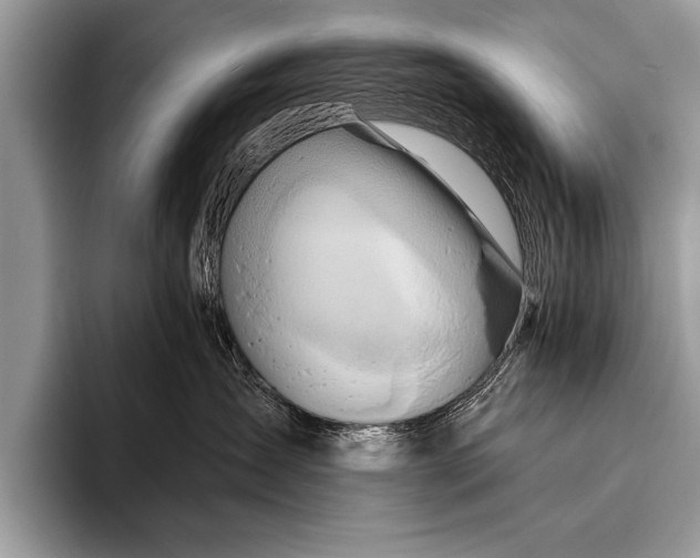 X0000096190431200802081524